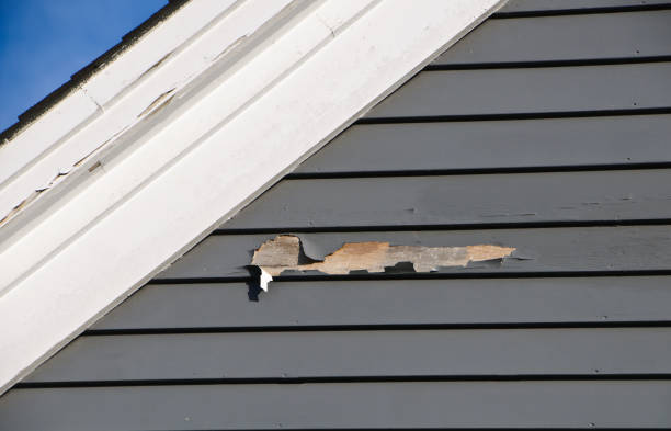 Best Stone Veneer Siding  in West Union, OH