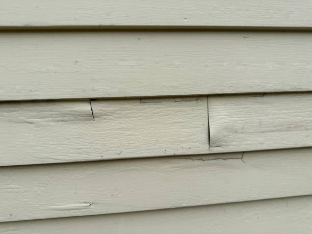 Best Storm Damage Siding Repair  in West Union, OH